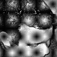 Fernando Rodrigues, 14.07.1970