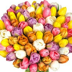 Venera Tleu, 08.01.1994, Алматы