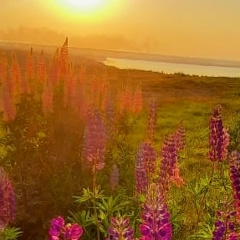 Елена Деденок, Самара