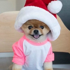 Добромира Романова, 08.11, Москва