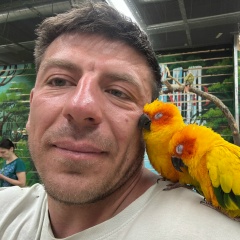 Кирилл Проклов, Москва