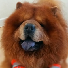 Елена Баталова, 26.03, Ижевск