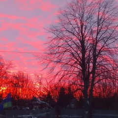 Алина Фауст, 13.01, Москва