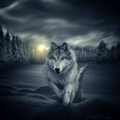 Анатолий Москаленко, 25.01.1986, Омск