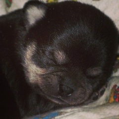 Сэсэг Бадмаева, 16.02, Москва