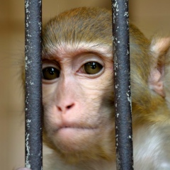 Виктория Ханина, 12.06.1987, Москва