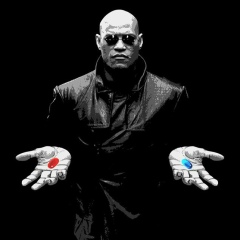 Серый Gaden, 03.09