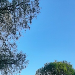 Александра Степанова, 20.05, Санкт-Петербург