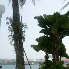 Султан Каримов, Кентау