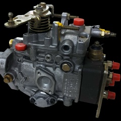 Сима Курятников, 17.12, Ростов-на-Дону