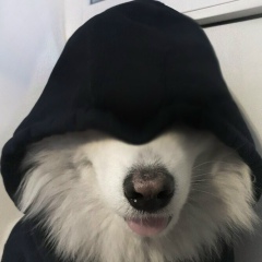 Ислам Жамбеев, 11.08, Москва