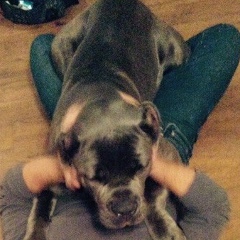 Андрей Андреев, Москва