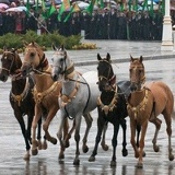 Askar Owezdurdyyew, 06.06.1988, Санкт-Петербург