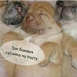 Петя Ямпольський, 14.07.1984