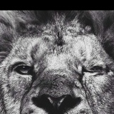 Алдияр Елемесов, 08.04.1988, Москва