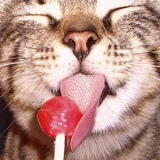 Маргарита Лымарева, 20.05