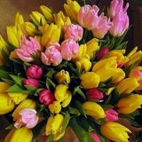 Татьяна Шилободина