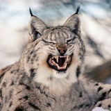 Ольга Игнатенко, 16.02, Донецк