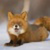 Аня Крамолеева, 23.03, Москва