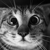 Станислав Кубарев, 09.11.1987