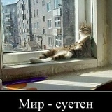 Илья Соболевский, 03.03, Москва