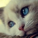 Лапкина Пудова, 08.02