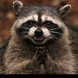 Тахир Чарыев, 23.11.1990, Ашхабад