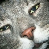 Хурсик Андреевич, Минск