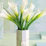 Анна Струневская, 02.12, Москва