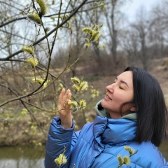 Лейла Авраменко, Санкт-Петербург