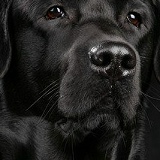 Сергей Преображенский, 01.01, Курган