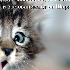 Дима Нестюк, 07.05.1999, Дрогичин
