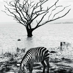 Александр Кретов, 09.09