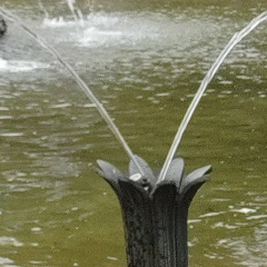 Константин Статкевич, 04.08, Санкт-Петербург