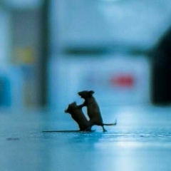 Баур Рахимбеков, 14.07, Астана