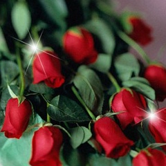 Молдир Мырзабекова, 13.02.1987, Алматы