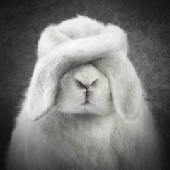 Андрей Гладких, 29.05.1990, Санкт-Петербург