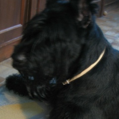 Алексей Полевков, 19.05.1984, Чехов