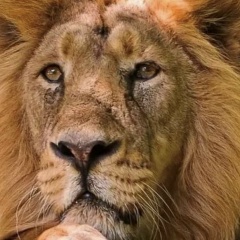 Андраник Хачян, 22.04, Москва