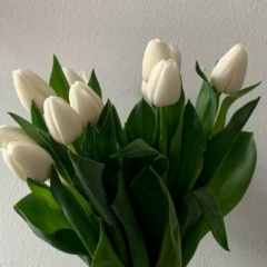 Венера Сафиуллова