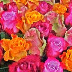 Надежда Калимова, 02.04.1985, Киев