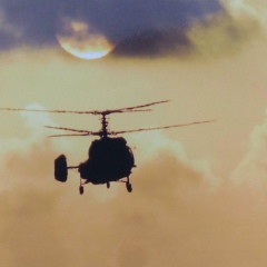 Виталий Дорошин