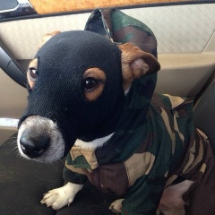 Виктор Малащенко, 03.12