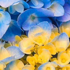 Екатерина Аксе