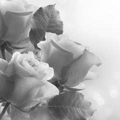 Ирина Абрамова, 30.05, Санкт-Петербург