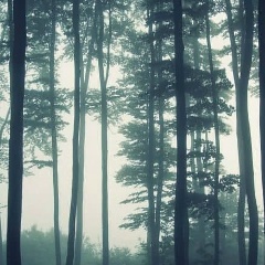 Анна Коган, 11.08