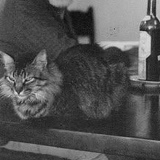 Боря Масон, 01.03.1989
