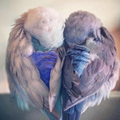 Гулайым Изтелеуова, 02.03.1992, Есик