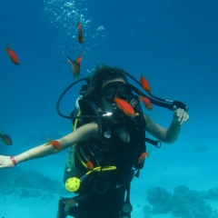 Іра Гаврильчик, Ровно