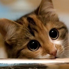 Валентина Гетц, 16.06.1987